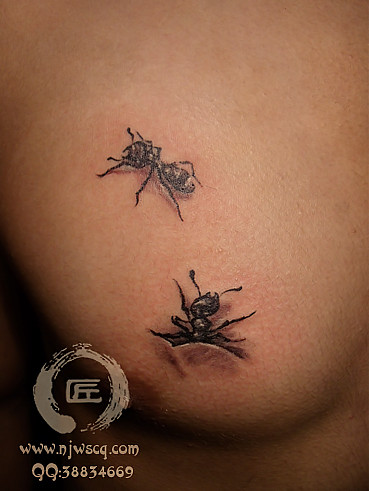 胸口蚂蚁黑灰素描风格写实纹身（图）